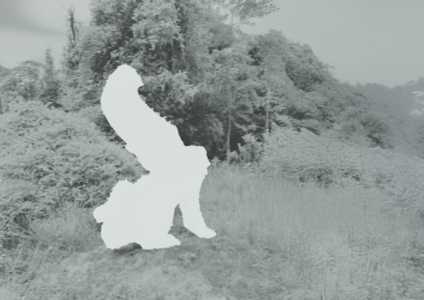 MIDI DOUZE, JARDIN DE LA SALAMANDRE, SÉBASTIEN PAUWELS